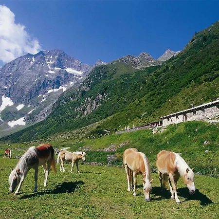 Haus Bergkranz アパート *