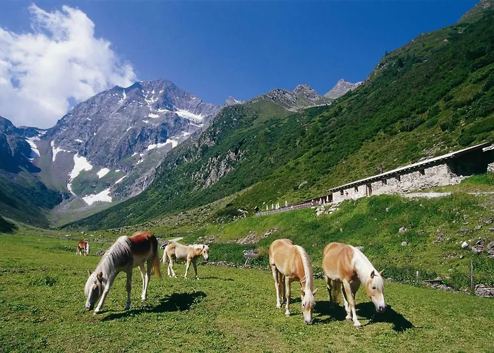 Haus Bergkranz Apartament *